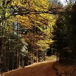 Podbucznik 1 Pilsko
