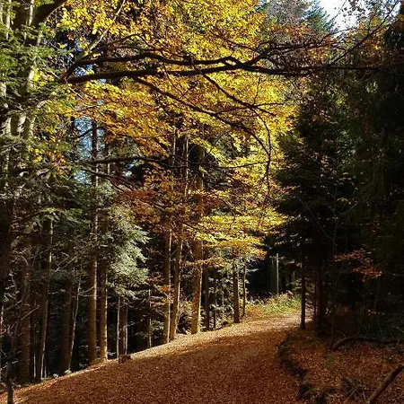 Podbucznik 1 Pilsko