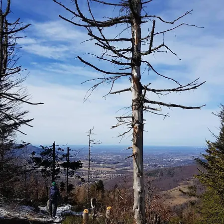 Podbucznik 1 Pilsko Alpehytte Targoszow