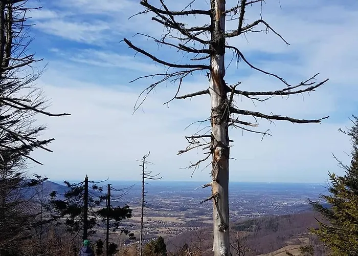 Podbucznik 1 Pilsko Chalet Targoszow